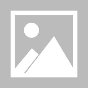 九州娱乐官方网站登录入口（九州娱乐体育、真人、游戏）-山东男篮成功捍卫主场，力争冠军路上再进一步